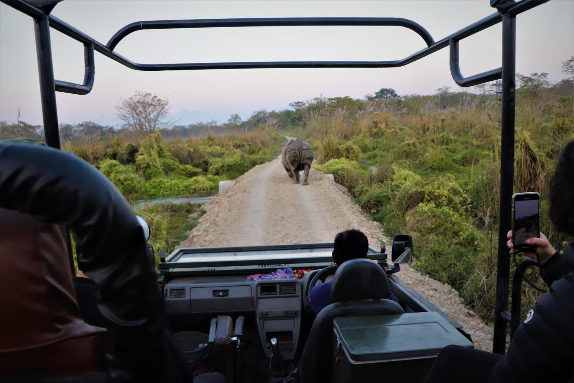 Hotel Flycatcher Chitwan- A Jungle Safari Home Sauraha Dış mekan fotoğraf